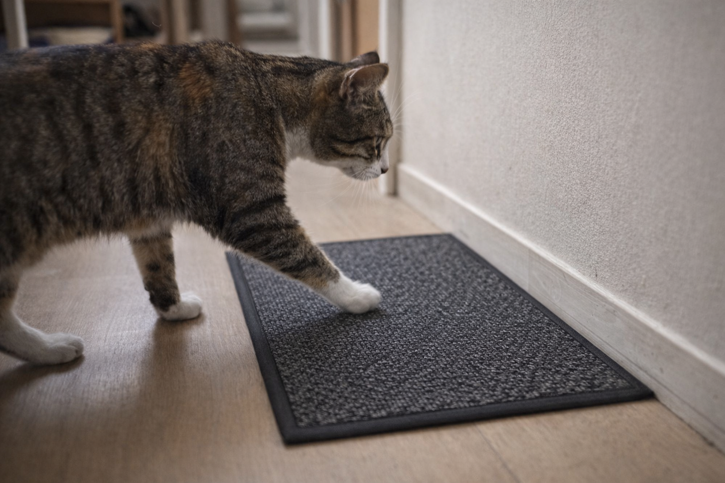 A scratch surface that fits existing habits